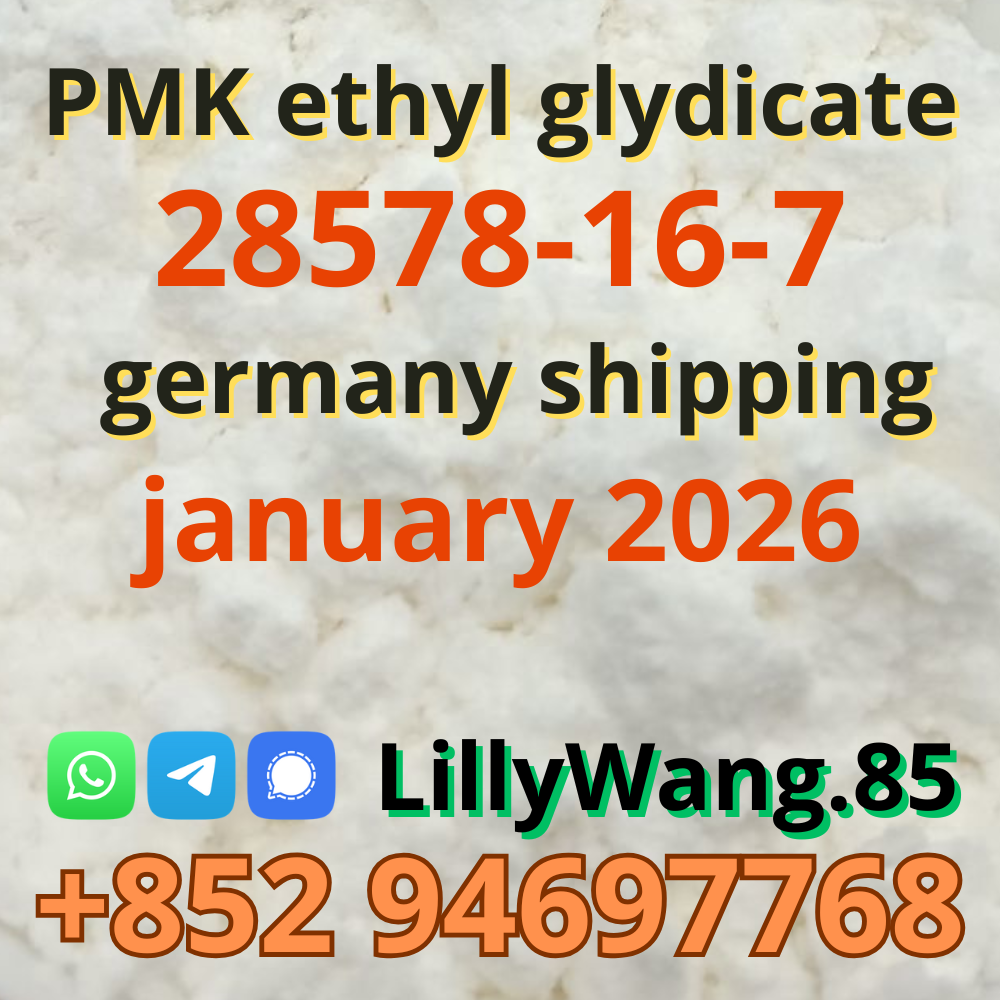 Buy PMK Ethyl Glycidate CAS 28578-16-7 powder supply (january 2026)